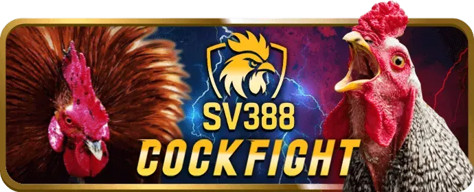 Truy cập trang chủ sonbet win